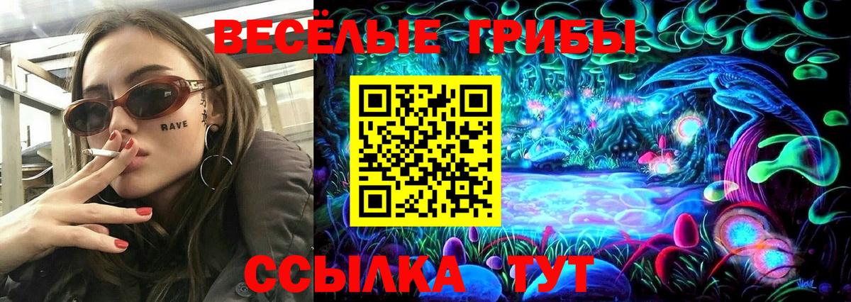 Псилоцибиновые грибы ЛСД Строитель